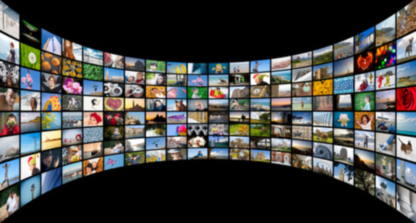 Projet de partenariat du Service du patrimoine archivistique et audiovisuel avec l'Université de la Polynésie française Projet de partenariat du Service du patrimoine archivistique et audiovisuel avec l'Université de la Polynésie française