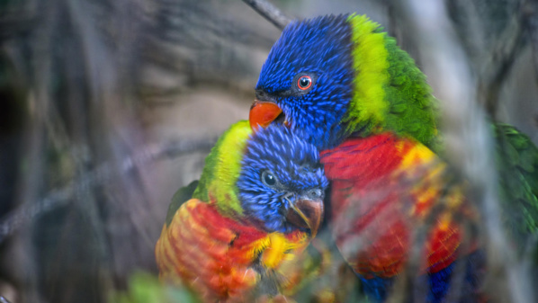 Walkerlee - Fotolia © FTV Walkerlee - Fotolia © FTV