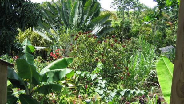 © Ego Prod / Réunion Première © Ego Prod / Réunion Première