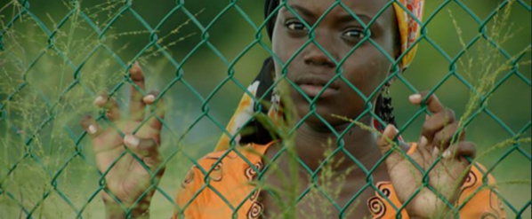 L'Outre-Mer à l'honneur sur Public Sénat L'Outre-Mer à l'honneur sur Public Sénat