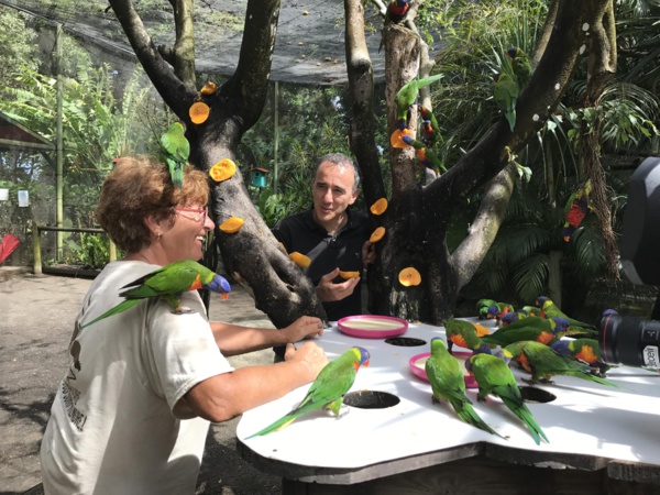 © 3eme Oeil © 3eme Oeil