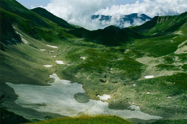 Caucase © Nat Geo Wild / Off the Fence Caucase © Nat Geo Wild / Off the Fence