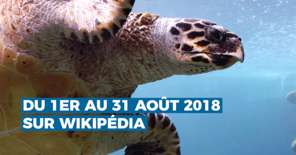 "Photographiez les Outre-mer", le premier concours photo ultra-marin sur Wikipédia "Photographiez les Outre-mer", le premier concours photo ultra-marin sur Wikipédia