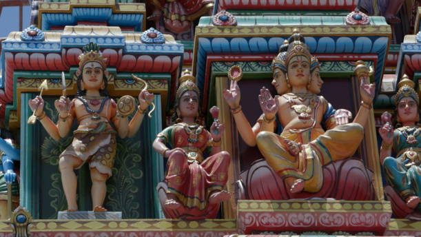 © Gad Distributions © Gad Distributions