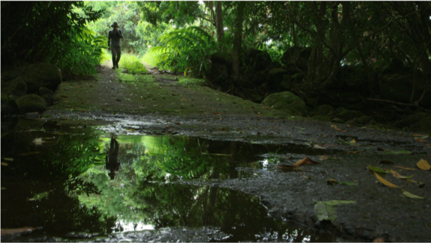 "Le Bon Sens des Hommes" projeté au Comptoir du vrac (Piton Saint-Leu) ce mercredi "Le Bon Sens des Hommes" projeté au Comptoir du vrac (Piton Saint-Leu) ce mercredi