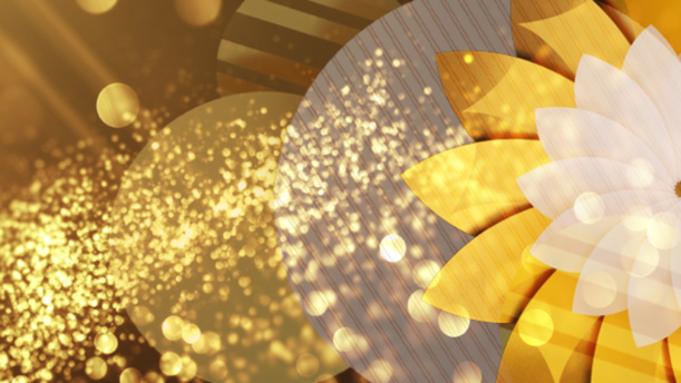 Programmation spéciale fêtes de fin d'année sur les chaînes La 1ère et France Ô Programmation spéciale fêtes de fin d'année sur les chaînes La 1ère et France Ô