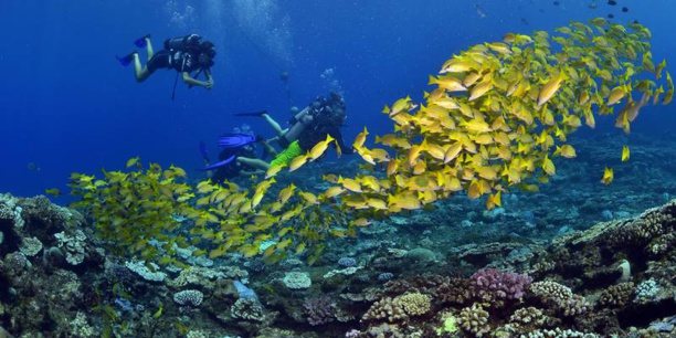 © IRT / Antoine Mettra © IRT / Antoine Mettra