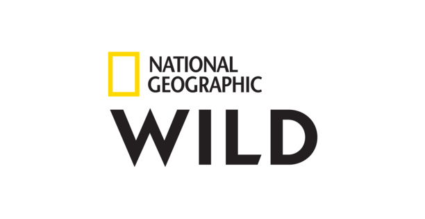 Nat Geo Wild devient à partir du 1er février National Geographic Wild et fait évoluer son identité graphique