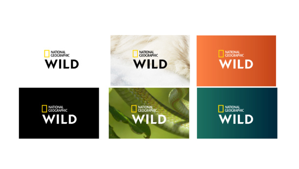 Nat Geo Wild devient à partir du 1er février National Geographic Wild et fait évoluer son identité graphique Nat Geo Wild devient à partir du 1er février National Geographic Wild et fait évoluer son identité graphique