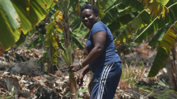 © 13 Productions © 13 Productions