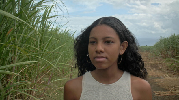 © Les films du cygne © Les films du cygne