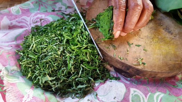 « Les Plantes vertes comestibles du Pacifique », la nouvelle émission culinaire inédite sur France Ô