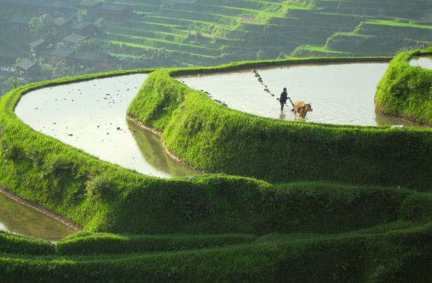 © National Geographic Wild © National Geographic Wild