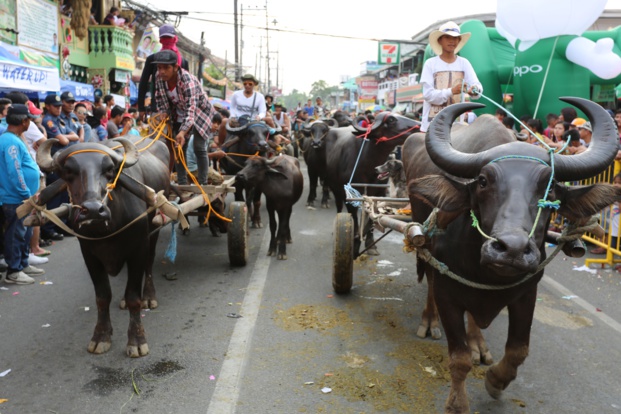 © National Geographic Wild © National Geographic Wild