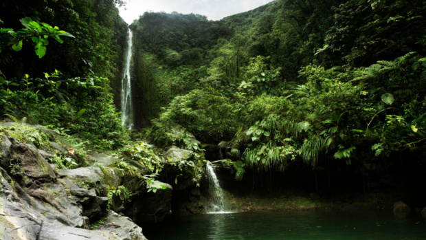 © Nathalie Guyon / FTV © Nathalie Guyon / FTV