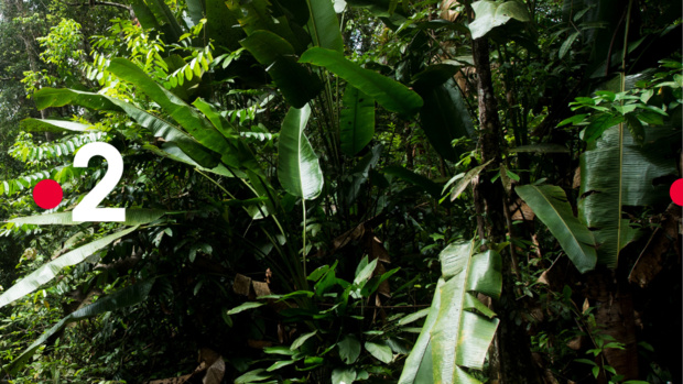 © Nathalie Guyon / FTV © Nathalie Guyon / FTV