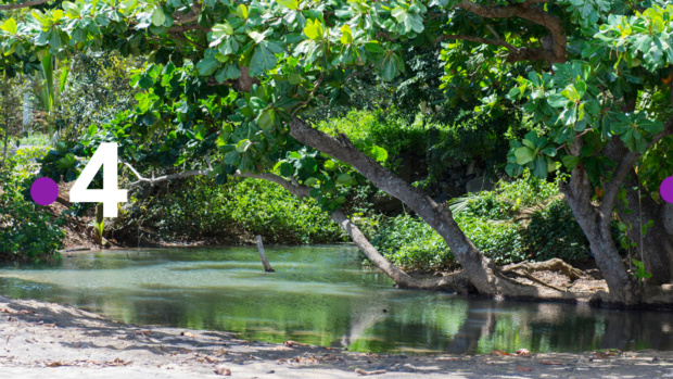 © Nathalie Guyon © Nathalie Guyon