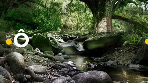 © Nathalie Guyon © Nathalie Guyon