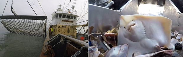 © Ushuaia TV © Ushuaia TV