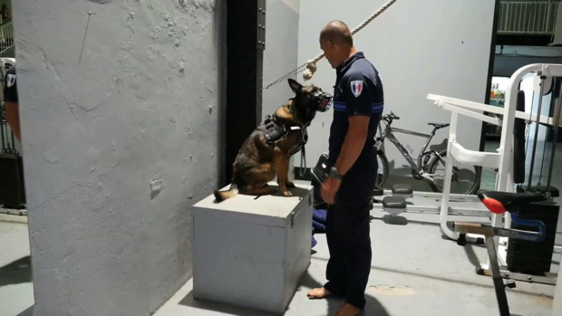 © Gedeon Programmes © Gedeon Programmes