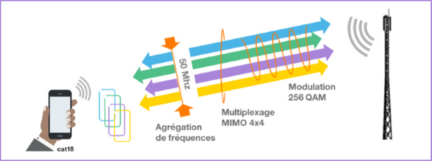 Antilles-Guyane: Orange offre une nouvelle expérience de la 4G Antilles-Guyane: Orange offre une nouvelle expérience de la 4G