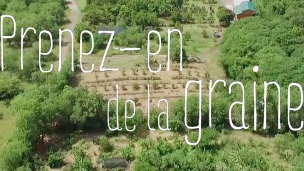 "Prenez-en de la graine !" le nouveau magazine découverte de Guadeloupe la 1ère "Prenez-en de la graine !" le nouveau magazine découverte de Guadeloupe la 1ère