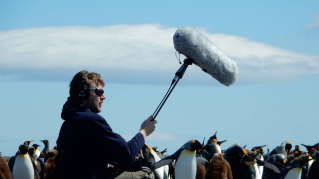 La Réunion: Concert hommage Julien Gauthier et l'Orchestre de la Région Réunion, le 2 novembre au TÉAT Plein Air La Réunion: Concert hommage Julien Gauthier et l'Orchestre de la Région Réunion, le 2 novembre au TÉAT Plein Air