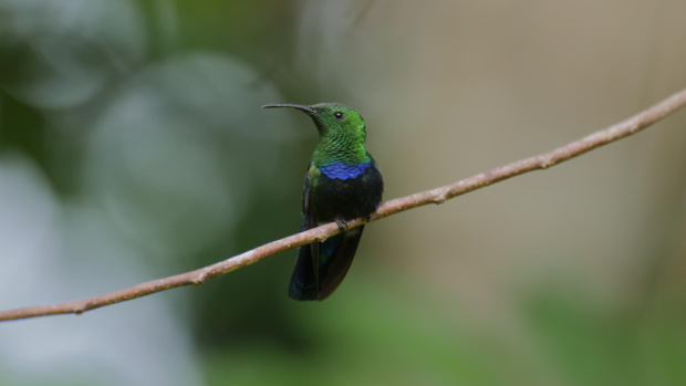 © Cosmopolitis Production © Cosmopolitis Production