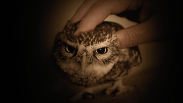 © 2019 Voyage SAS, All rights reserved. © 2019 Voyage SAS, All rights reserved.