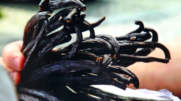 © TêTemBa Productions / Canal+ / P4.nc © TêTemBa Productions / Canal+ / P4.nc