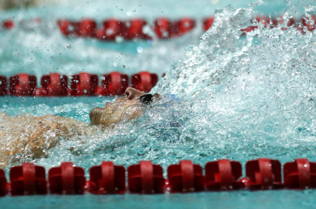 Droits TV: Plus de natation sur beIN Sports Droits TV: Plus de natation sur beIN Sports