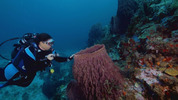 Grand Angle / Ecrans du monde Grand Angle / Ecrans du monde