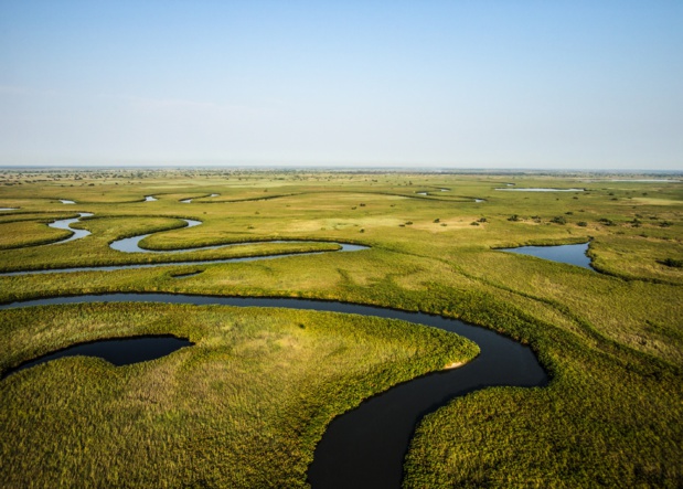 Le plus grand fleuve du monde, l'Okavango, à l'honneur le 15 avril sur National Geographic Wild Le plus grand fleuve du monde, l'Okavango, à l'honneur le 15 avril sur National Geographic Wild
