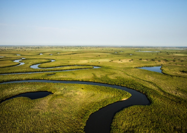 Le plus grand fleuve du monde, l'Okavango, à l'honneur le 15 avril sur National Geographic Wild