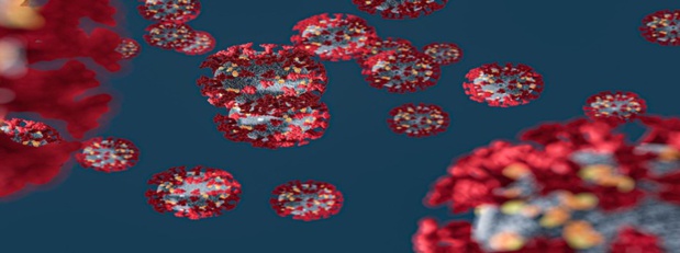 Emission spéciale « La crise sanitaire du Covid-19 » ce vendredi sur les antennes TV et Web de Martinique La 1ère Emission spéciale « La crise sanitaire du Covid-19 » ce vendredi sur les antennes TV et Web de Martinique La 1ère