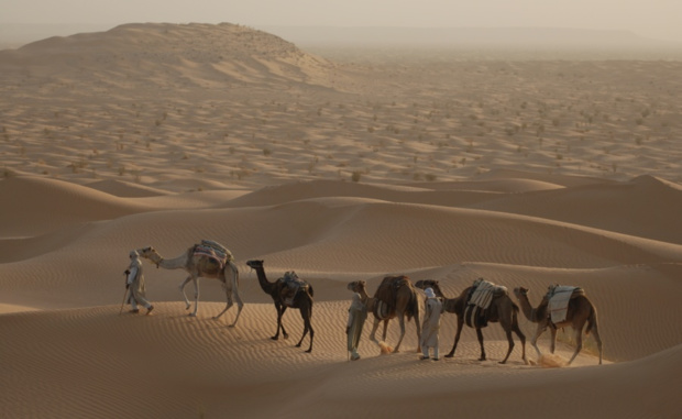 National Geographic Wild met le cap sur l’Afrique et dévoile les beautés de la vie sauvage luxuriante du continent africain avec "Destination Wild : les merveilles de l’Afrique" National Geographic Wild met le cap sur l’Afrique et dévoile les beautés de la vie sauvage luxuriante du continent africain avec "Destination Wild : les merveilles de l’Afrique"