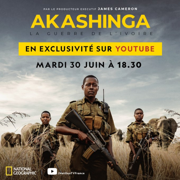 Le court-métrage événement "Akashinga: la guerre de l'ivoire" diffusé en exclusivité sur la chaîne YouTube de National Geographic le 30 juin Le court-métrage événement "Akashinga: la guerre de l'ivoire" diffusé en exclusivité sur la chaîne YouTube de National Geographic le 30 juin