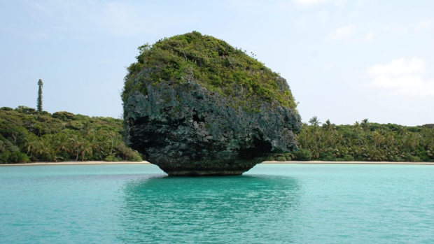 Crédit Photo: Creative Commons Crédit Photo: Creative Commons