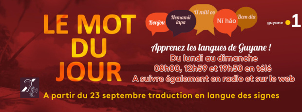 Le mot du jour en langue des signes, du lundi au dimanche sur Guyane La 1ère Le mot du jour en langue des signes, du lundi au dimanche sur Guyane La 1ère