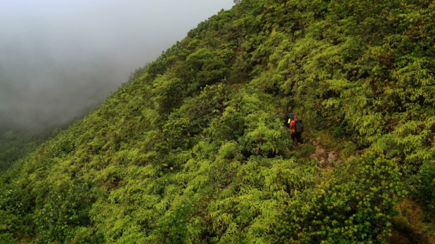 La Guadeloupe à l'honneur le 16 Octobre sur la chaîne VOYAGE La Guadeloupe à l'honneur le 16 Octobre sur la chaîne VOYAGE