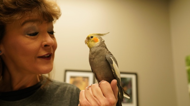 Dr T, vétérinaire du Texas, la nouvelle série documentaire de National Geographic Wild Dr T, vétérinaire du Texas, la nouvelle série documentaire de National Geographic Wild