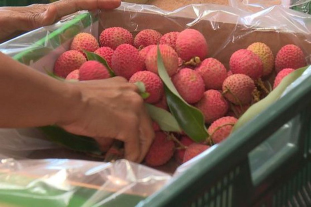 Les chaînes La 1ère dévoilent leur programmation pour les fêtes de fin d'année