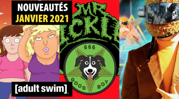 Le plein d'inédits en janvier sur Toonami et Adult Swim Le plein d'inédits en janvier sur Toonami et Adult Swim