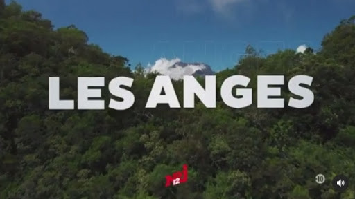 La Réunion: Plusieurs personnes agressés par des candidats de l'émission "Les Anges de la Télé-Réalité"