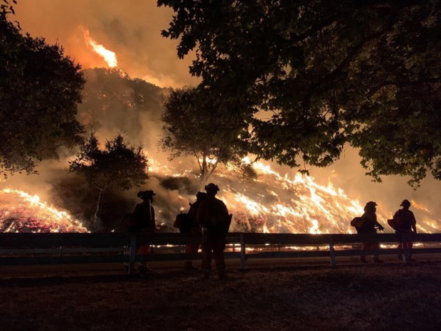 Crédit Photo: Discovery Channel Crédit Photo: Discovery Channel