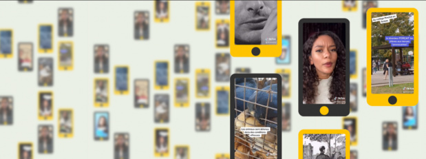 France Télévisions lance le compte Franceinfo sur TikTok France Télévisions lance le compte Franceinfo sur TikTok