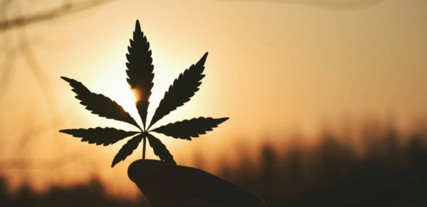 Crédit Photo: Getty Images Crédit Photo: Getty Images