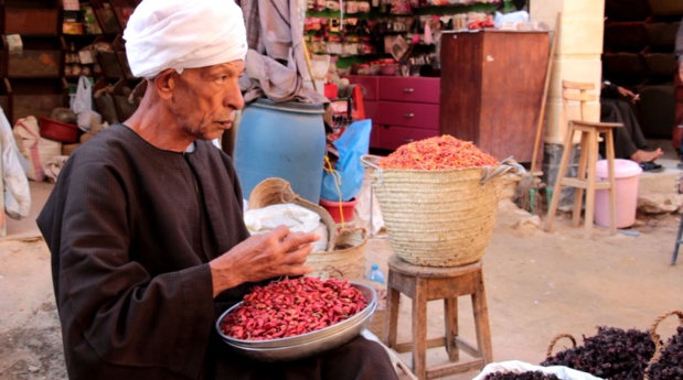 Immersion au coeur de l'Égypte dans le film documentaire "L'Égypte, le souffle du temps" de Romain Arazm Immersion au coeur de l'Égypte dans le film documentaire "L'Égypte, le souffle du temps" de Romain Arazm
