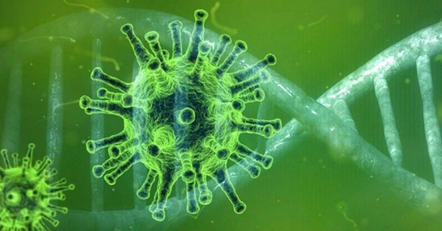 La Guadeloupe à l’épreuve du COVID-19 : retour sur un an de crise le 17 mars sur Guadeloupe La 1ère La Guadeloupe à l’épreuve du COVID-19 : retour sur un an de crise le 17 mars sur Guadeloupe La 1ère