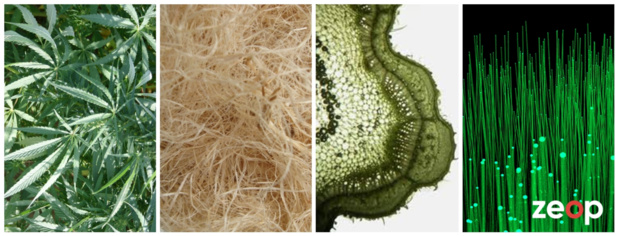 Innovation réunionnaise : La fibre Zeop passe au vert Innovation réunionnaise : La fibre Zeop passe au vert